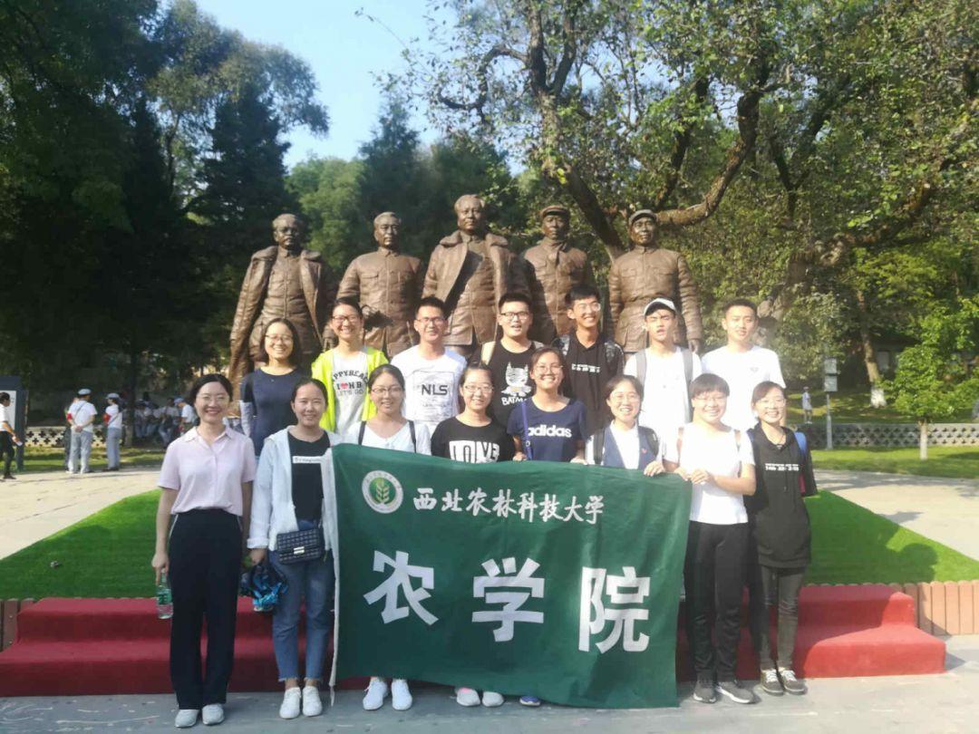 马来西亚:绘画长卷迎新春